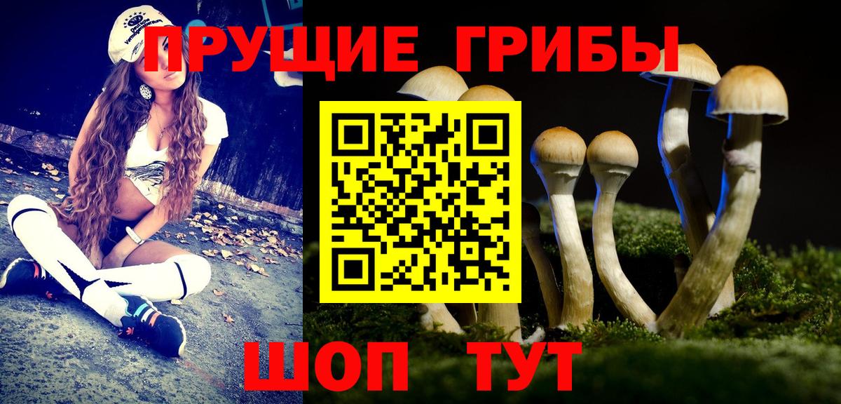 Кувандык  Псилоцибиновые грибы мухоморы  Вход с VPN  Галлюциногенные грибы Magic Shrooms 